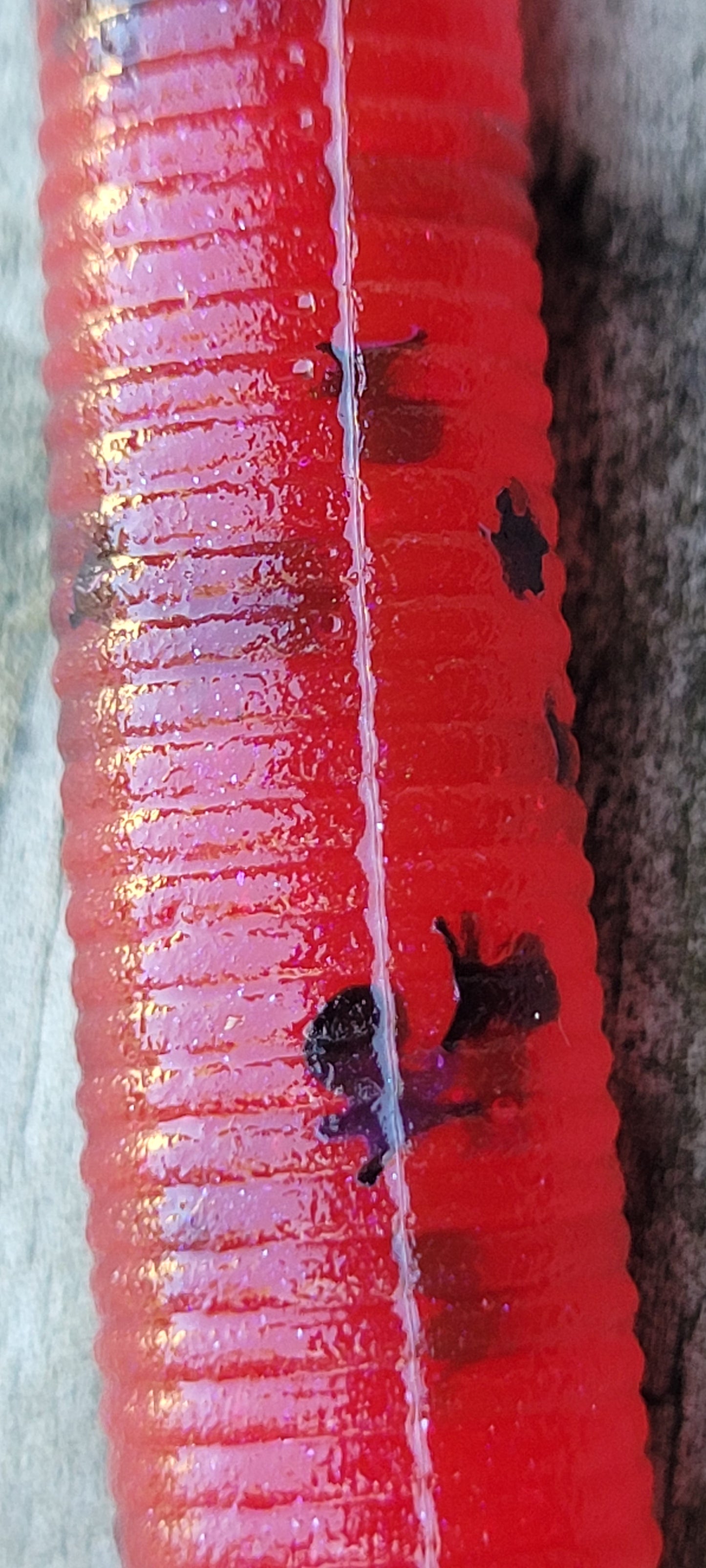 5" Stick bait-10 pack