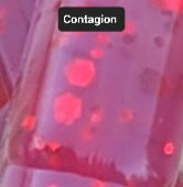 Whisper Worm -12 Pack