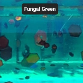 3.5" Ripper - 5 Pack