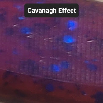 Aggro Worm - 10 Pack