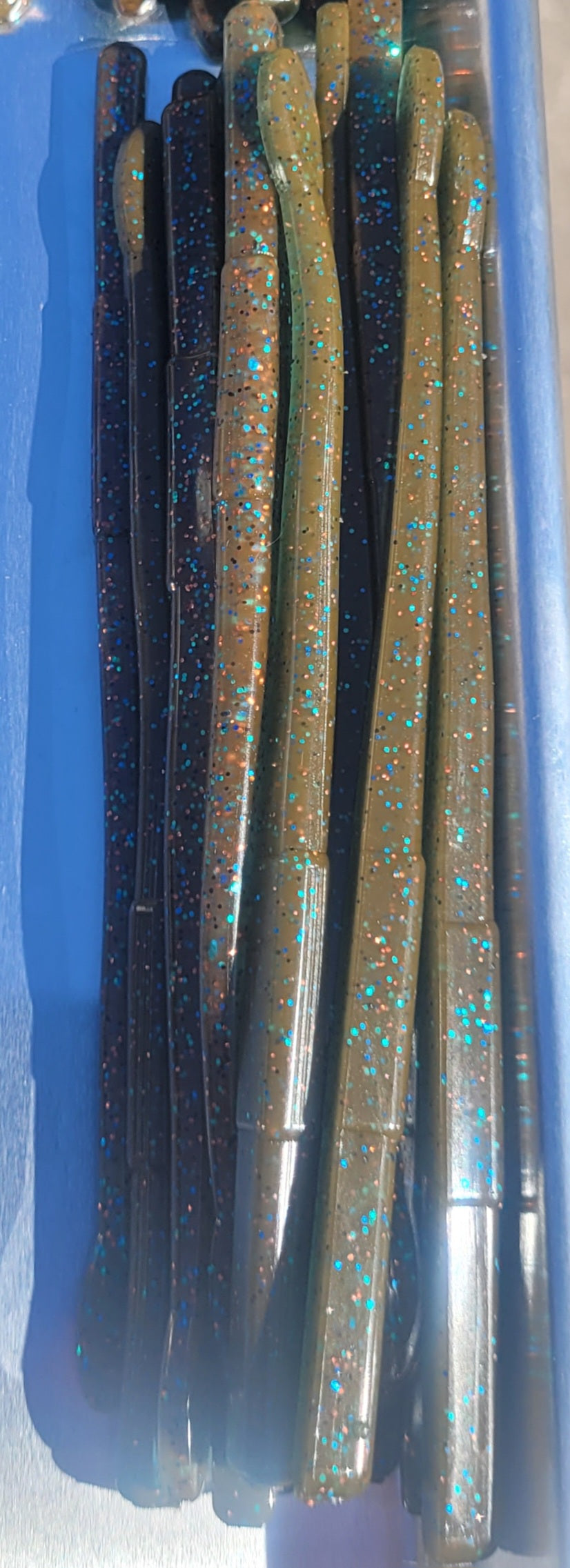 6" Fury Worm - 16 Pack