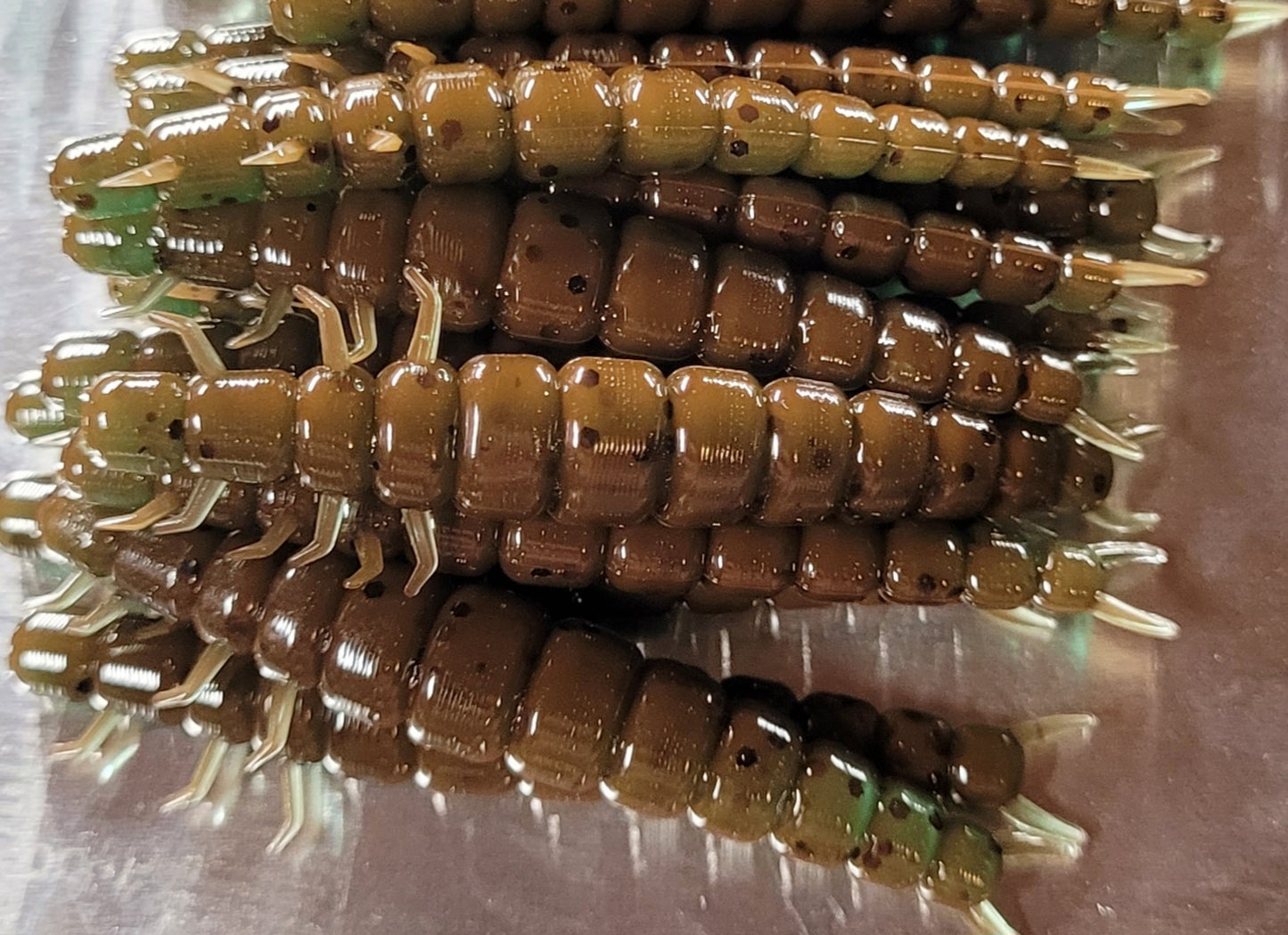 2.2" Crunchy Caddis - 24 Pack
