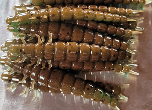 2.2" Crunchy Caddis - 24 Pack
