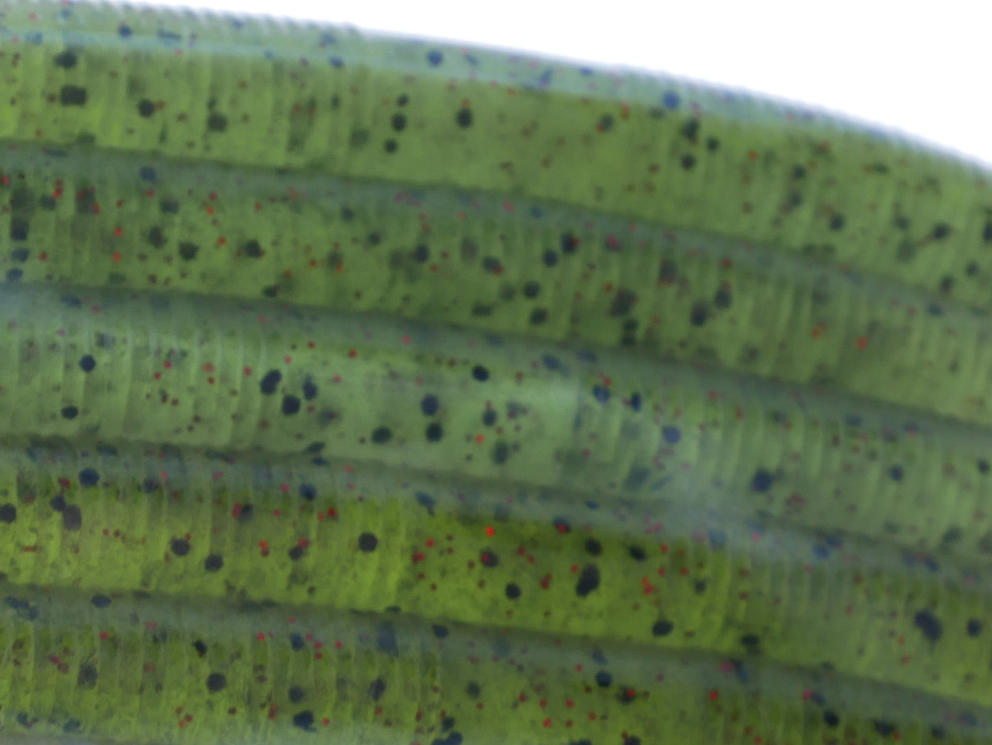 5" Stick bait with salt-10 pack