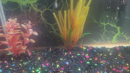 3" Lucky Leech -8 Pack