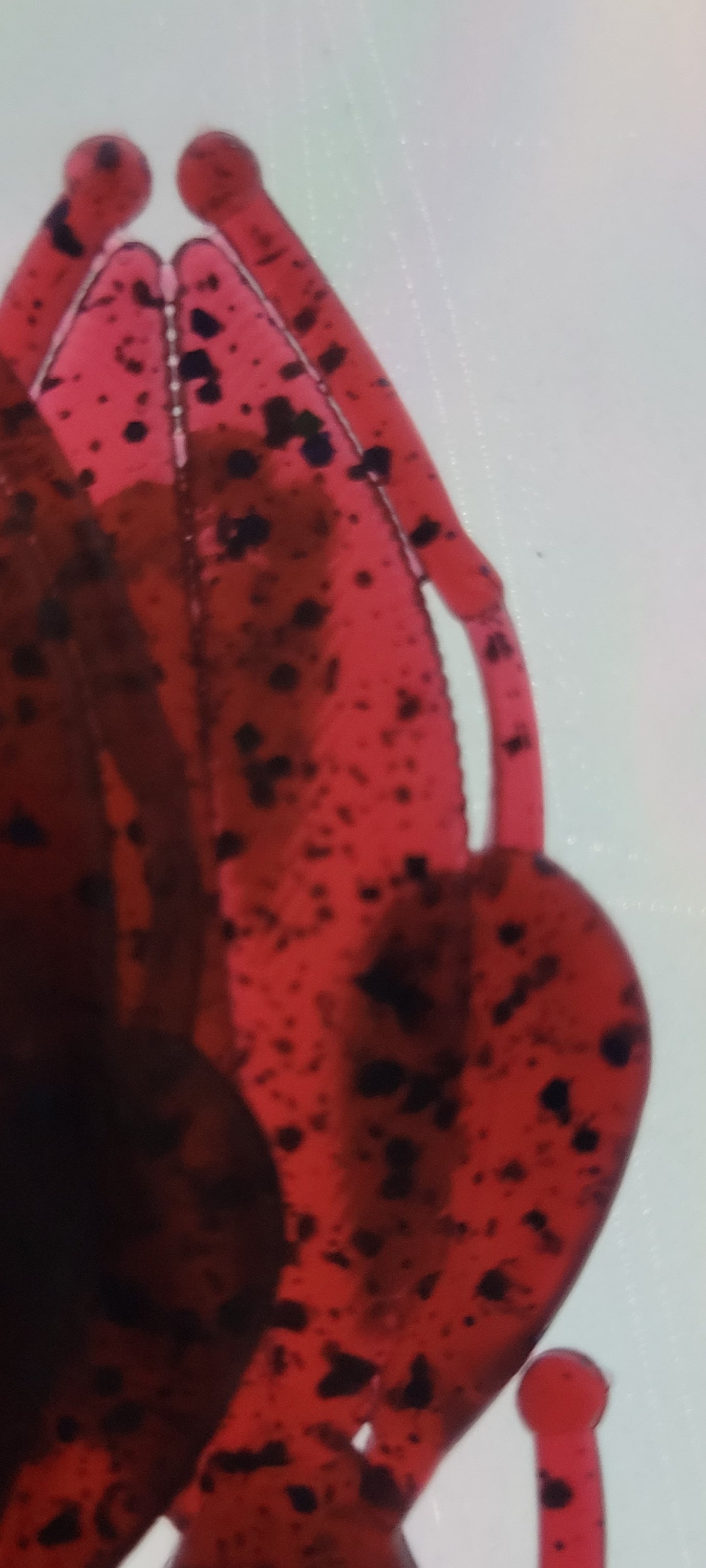 LE Bulk 3.25" Shadowbug