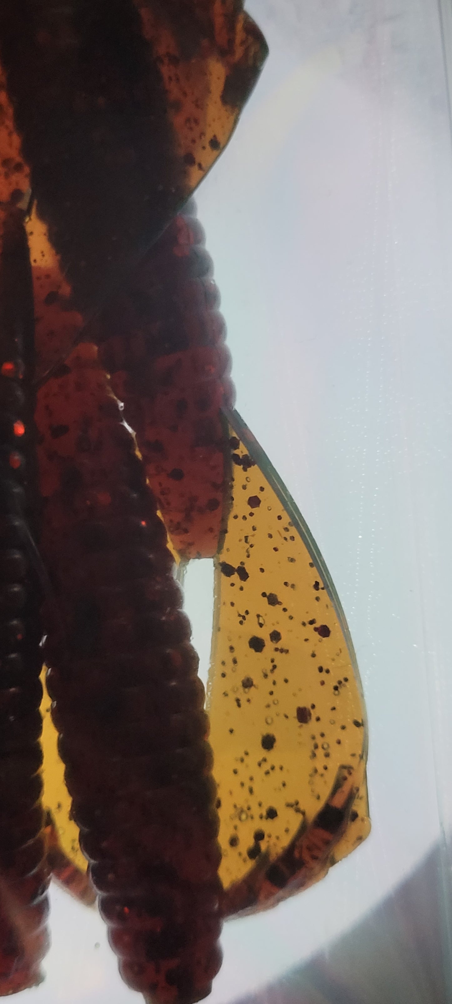 LE Bulk 3.5" Phantom Grub