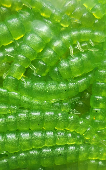LE Bulk 2.2 Crunchy Caddis